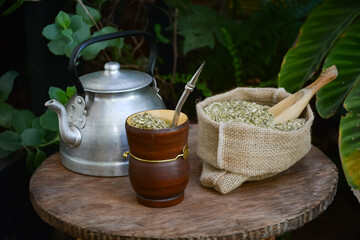 Ritual del mate en Misiones Argentina. Mate en el jardín con plantas y naturaleza.