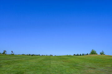 Fototapeta premium Relaxing day on the golf course, fairway grass running up to clear blue sky, recreation and challenge on a sunny summer day 