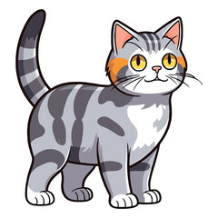 Exquisite Elegance: The American Wirehair Breed