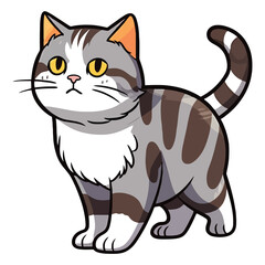 Obraz premium Exquisite Elegance: The American Wirehair Breed