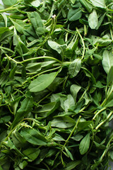 Top view of waterleaf, Flat lay of cariru on a table, Nigerian waterleaf being prepared for cooking, ceylon spinach about to be plucked