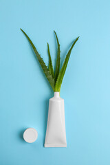 Tube of toothpaste and fresh aloe on light blue background, flat lay