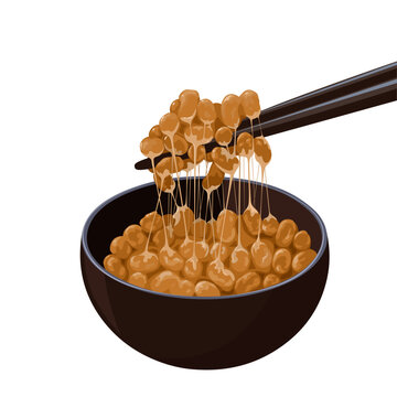 Vector illustration, natto in a bowl, natto is fermented soybean seeds with Bacillus subtilis, isolated on white background.
