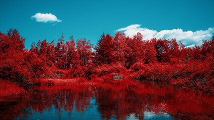 Summer day, landscape. The shore by the lake. Red photo processing for design.