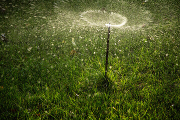 water sprayer sprinkling splash gardening
