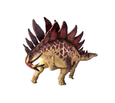 dinosaur , stegosaurus  isolated background
