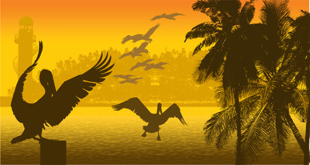 panoramica, palmeras, mar, paisaje, isla, faro, amarillo, atardecer, pelicanos, pelicano