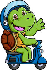 turtle riding vintage scooter with wearing helmet