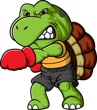 Cartoon little turtle training boxing