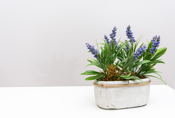 Maceta blanca artesanal con planta de flores lilas sobre fondo blanco. Recurso gráfico con espacio negativo