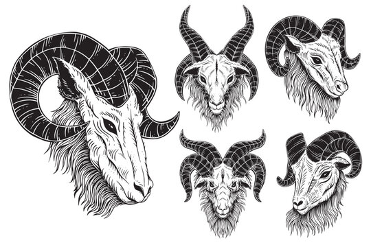 Set Bundle Satanic Goat Head horns Sheep Skull Dark Art black white for tattoo clothing Hand Drawn illustration