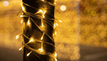 Tree trunk decorated with LED lights, beautiful bokeh background.