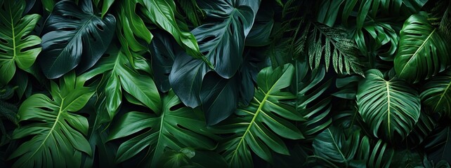 Naklejka na ściany i meble Tropical green leaves background, top view, flat lay, Generative AI