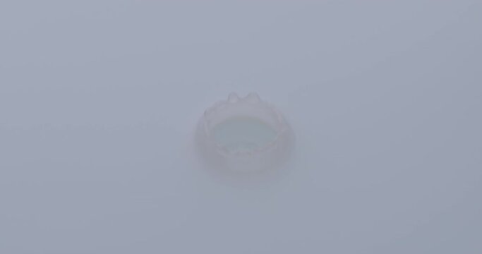 Slow Motion An oil drop into a milky liquid