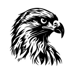 Eagle vector, isolated on white background, eagle, isolated vector sign symbol, vector illustration.