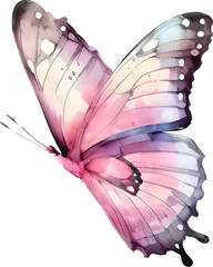 Beautiful Butterfly Of Pastel Pink Color. Watercolor Illustration