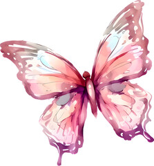 Watercolor Pink Butterfly Illustration 