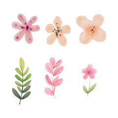 Beautiful set of bouquet of watercolor flowers and leaves. watercolor floral elements
