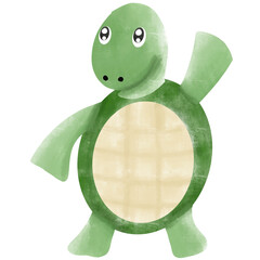 turtle8