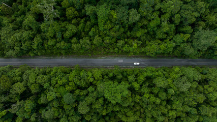 Aerial view white electric vehicle car or EV car on green forest road, EV car travel in green...