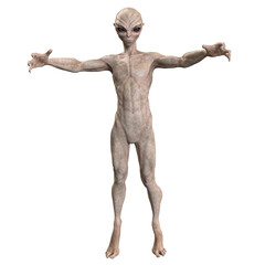 Grey alien on transparent background, 3d render
