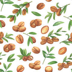 Seamless watercolor pattern with brown argan tree nut and leaves on white background.