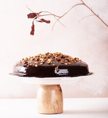chocolate cake with nuts
