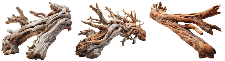 pieces of driftwood, on a transparent background, Generative AI