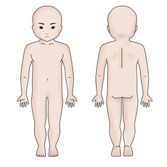 小児全身シェーマ図カラー版　顔有り