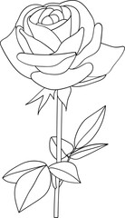 Rose outline