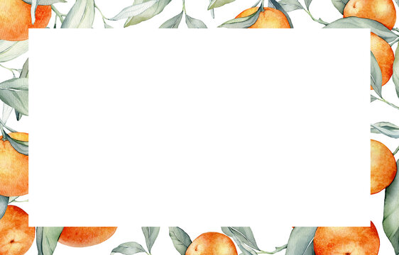Frame with Orange Fruits. Hand drawn watercolor illustration of square Frame with citrus food and green leaves on white isolated background. Border with tropical mandarins for labels or sticker.