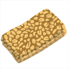 slice of tempeh, traditional food