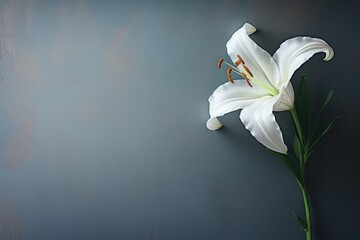 White Easter lily on distressed background Generative AI
