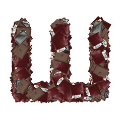 Cyrillic fonts with dollars inside wallets. Isolated background