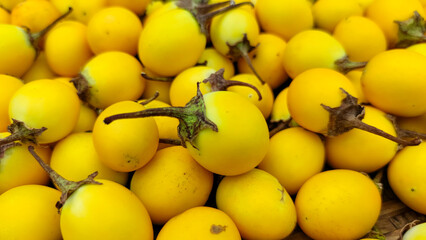 yellow egg plant in the market
