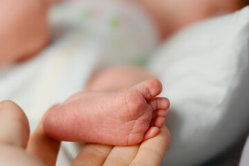 Newborn feets closeup, natural colours