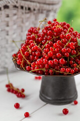 Fruits and berries. Summer time. Delicious red currants on a stylish iron tray in retro style on a white table. Space for text.