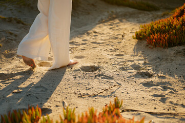 Walking on sand among succulents in Coronado Beach, California