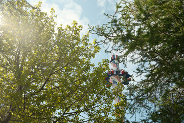 Fototapeta premium View through trees on tall drop tower