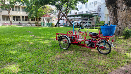 Fototapeta na wymiar red Saleng car on grass