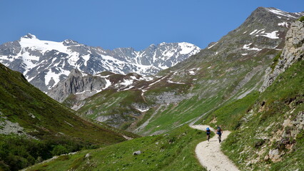 Mountain bikes on a track located along the Chaviere valley, Pralognan la Vanoise,Vanoise National Park, Northern French Alps, Tarentaise, Savoie, France, surrounded by mountains and glaciers