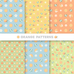 오렌지 과일 패턴 일러스트 배경 세트