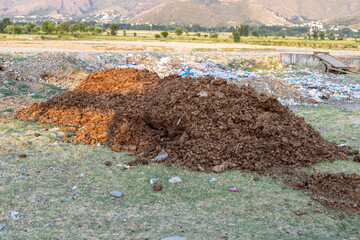 Pile of manure for agricultural field using as a organic fertilizer for crops