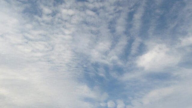 Altocumuluswolken im zeitraffer modus, flauschige wolken im blauen himmel