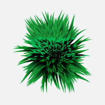 Green grass background in the center.