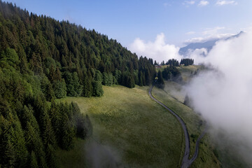 Aerial of mountain slope with green meadows and pine tree divide with cloud obscuring half of the scenery. Picturesque weather condition scenic natural atmosphere. Breathing air.