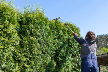 Male gardener using a long reach pole hedge trimmer to cut the top of a tall hedge.