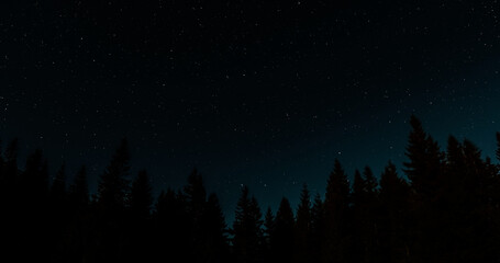 Fototapeta premium Stars in night sky