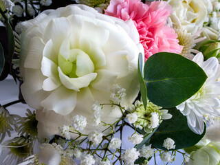 bouquet of flowers. ranunculus and gypsophila