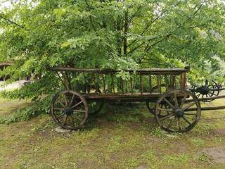Fototapeta na wymiar An old vintage cart surrounded by trees and shrubs. Beautiful pastoral, rustic background.